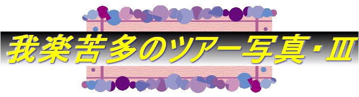 yꑽ̃cA[ʐ^EV